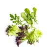 Market Garden Mixed Salad Leaves