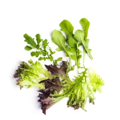 Market Garden Mixed Salad Leaves