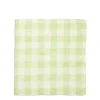 Mint & White Check Napkin