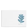 Nila Indigo Plant Placemat