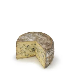Organic Bledington Blue Cheese