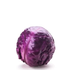 Red Cabbage